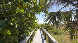 A wooden boardwalk surrounded by lush greenery and palm trees. - Charming Studio Beach Getaway. Beachfront Pool, Near Restaurants, Activities (St. Pete Beach)
