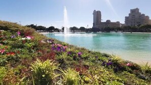 Ein Park mit einem Brunnen, blauem Himmel und Gebäuden im Hintergrund.