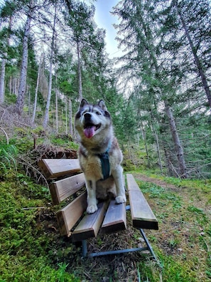Terrain de lâhĂ©bergement