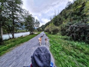 Nicht klassifiziertes Bild, 3 von 43, Schaltfläche