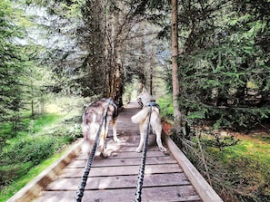 Imagem sem classificação, 4 de 43, botão