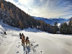 Imagem sem classificação, 5 de 43, botão