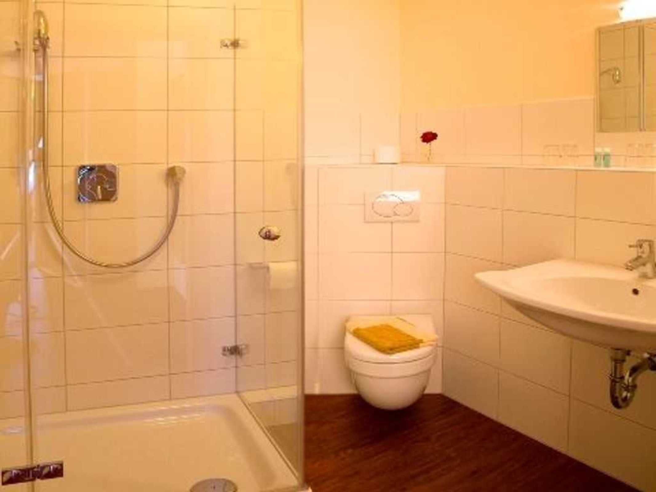 Shower, hair dryer, soap, toilet paper