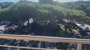 Blick auf einen Parkplatz mit Bäumen und einer Straße.