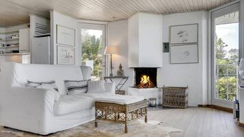 TV, fireplace, table tennis