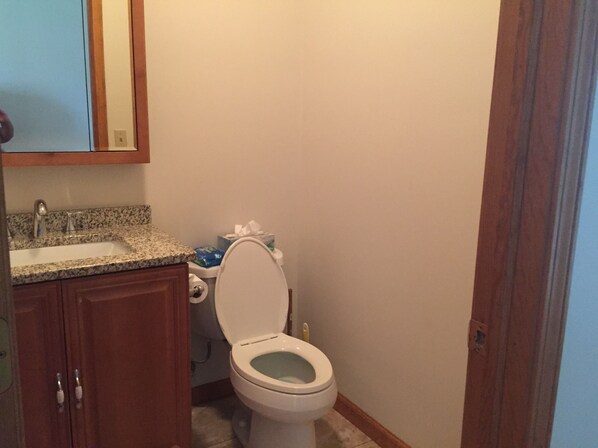 A bathroom with a toilet, sink, and wooden cabinets.