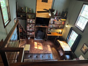 Televisión, chimenea, reproductor de DVD y libros