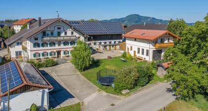 Friendly apartment- 2 persons, 24sqm