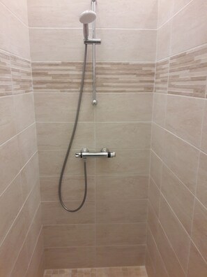 Shower, towels, toilet paper