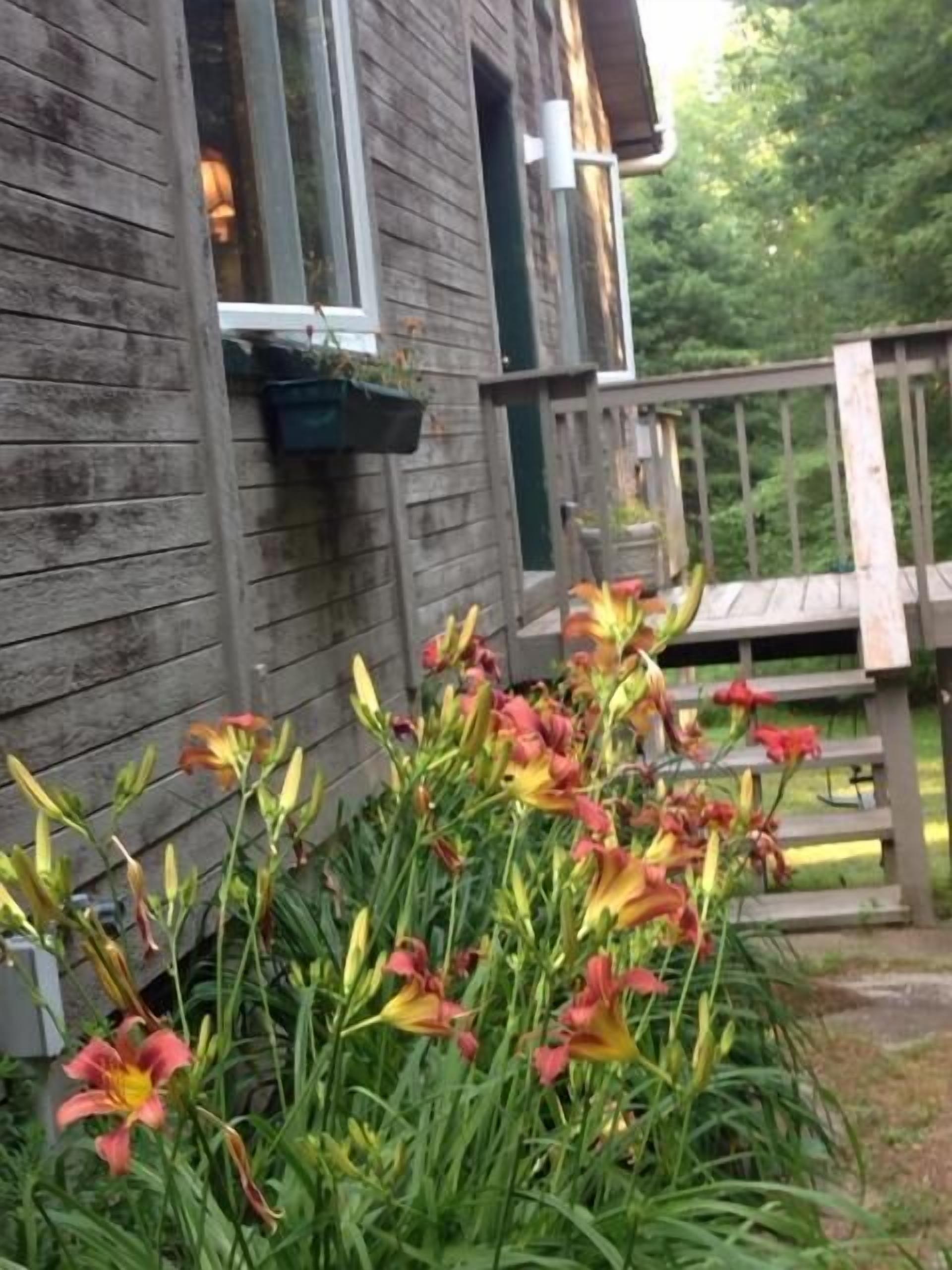 Welcome to Hupi Woods!