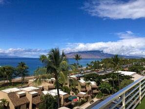 Property grounds - Beautiful*Direct Oceanview & Ideal Location*Best Beaches in Maui (Kihei)