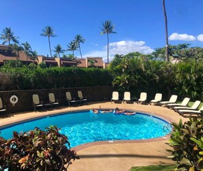 A swimming pool with lounge chairs and palm trees.