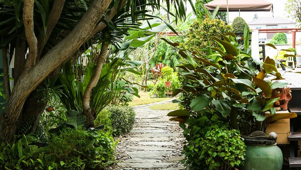 A stone pathway leading through a lush garden with various plants and trees. - Bellevue Boutique Bangkok (Bangkok)