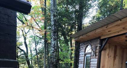 Welcome to Mountain Momma