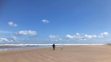 Playa en los alrededores y camastros