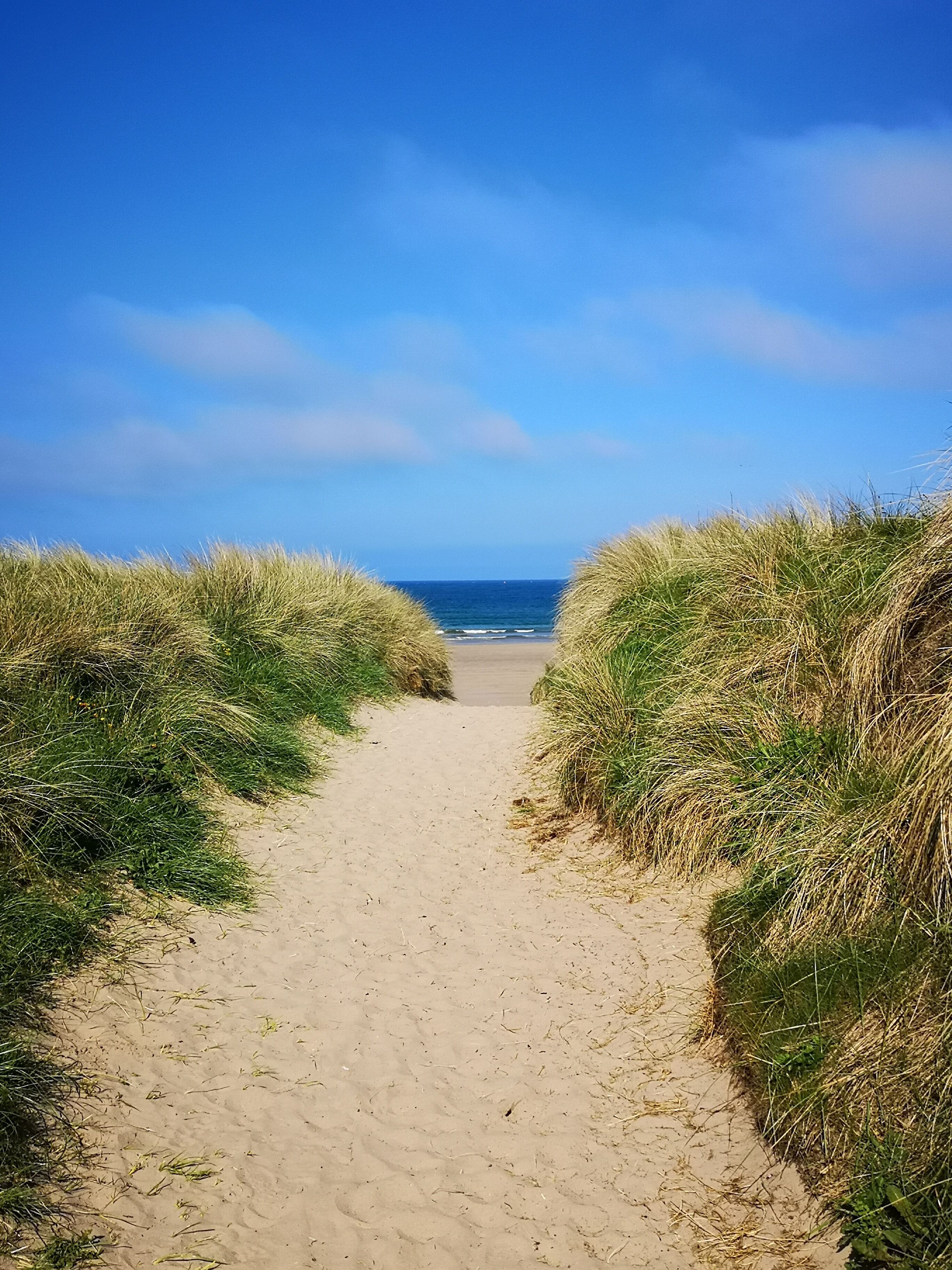 Beach nearby, sun loungers