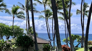 A tropical garden with palm trees, a small building, and a view of the ocean.
