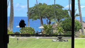 A view of a well-maintained lawn with a small bird feeder, palm trees, and a clear view of the ocean.