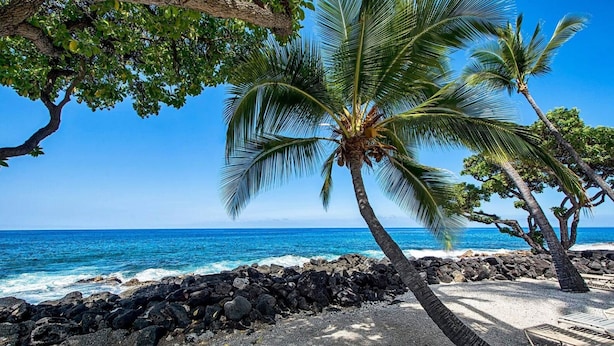 A beach with a rocky shoreline, palm trees, and a clear blue ocean.