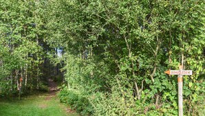 A forested area with a signpost indicating 'BOHUSLÖDEN'. - Lovely home in Strömstad with WiFi (Strömstad)