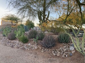 Property grounds - RESORT STYLE DESERT LIVING, PRIVATE POOL & SPA, HIKING, STAR GAZING, GOLF, SHOP (Cave Creek)