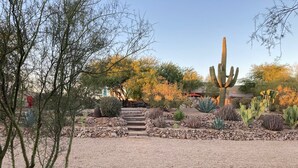 Un jardín desértico con un sendero de madera que lleva a una escalera de piedra.