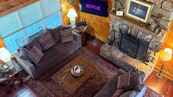 TV connectée, cheminée, lecteur de DVD, livres