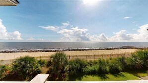 A beach view with a rocky shoreline, palm trees, and a clear sky.