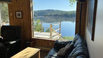 Smart TV, fireplace, books, music library