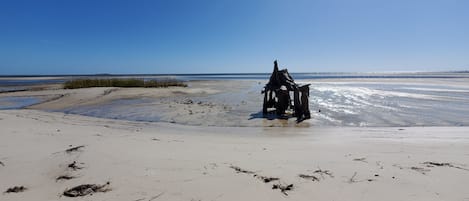 En la playa, camastros y toallas de playa