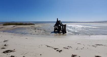 Gulf view Geodesic Dome Cottage just a 5 minute walk to uncrowded beach!