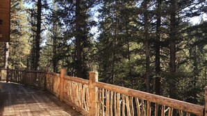 A wooden deck with a rustic railing, surrounded by tall pine trees. - Rustic Mountain Cabin (New Meadows)