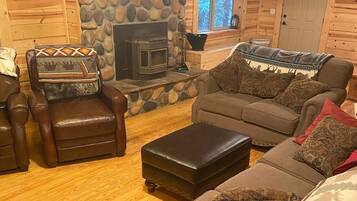 Televisión, chimenea, videojuegos y reproductor de DVD