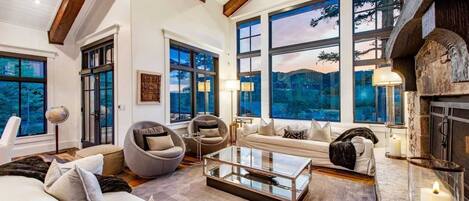 TV, fireplace, video games, DVD player