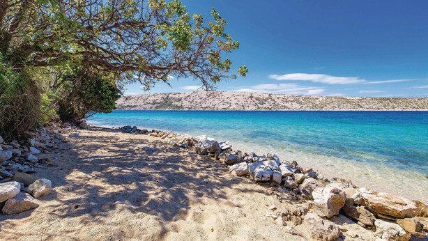 A beach with clear turquoise water, rocky shoreline, and a tree-lined path. - 1 bedroom lovely apartment in Barbat na Rabu (Barbat na Rabu)
