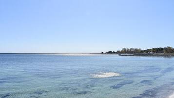 Playa en los alrededores y pesca