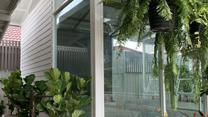 Un invernadero con varias plantas en macetas, entre ellas helechos y arbustos frondosos, dispuestas alrededor de amplias ventanas.