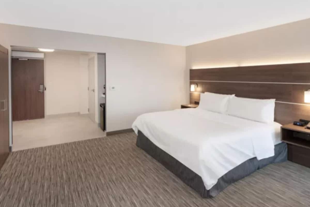 Una habitación de hotel moderna con una cama grande, cabecera de madera, mesita de noche con lámpara y piso alfombrado.