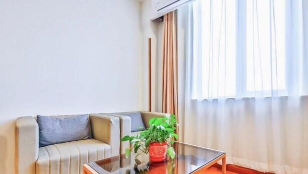 Ein modernes Wohnzimmer mit einer Couch, einem Glastisch und einer Topfpflanze.
