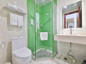 Ein Badezimmer mit einer Duschkabine, einer weißen Toilette und einem Waschbecken mit Spiegel darüber.