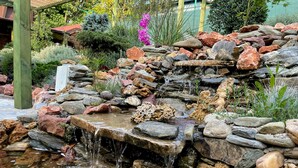 Une petite cascade d’eau qui dévale des rochers dans un jardin.