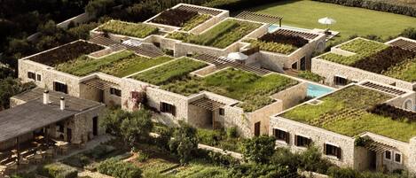 A modern villa with a rooftop garden, a swimming pool, and a view of the sea.