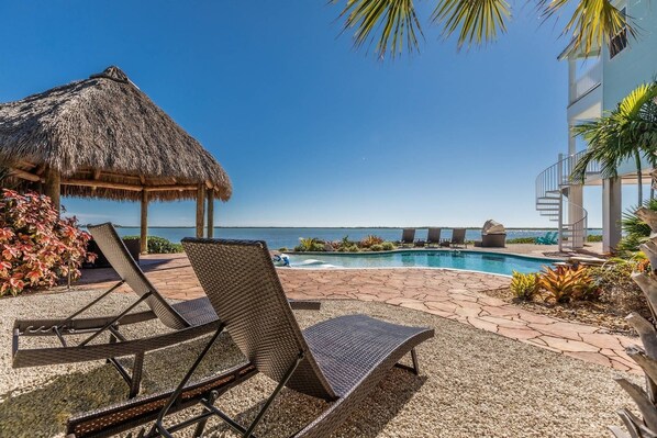 Unclassified image, 1 of 50, button