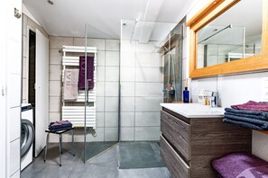Shower, hair dryer, towels