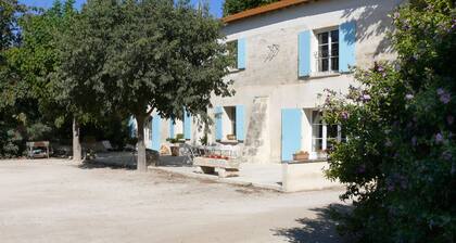 Gîte in the heart of the Camargue in a manade