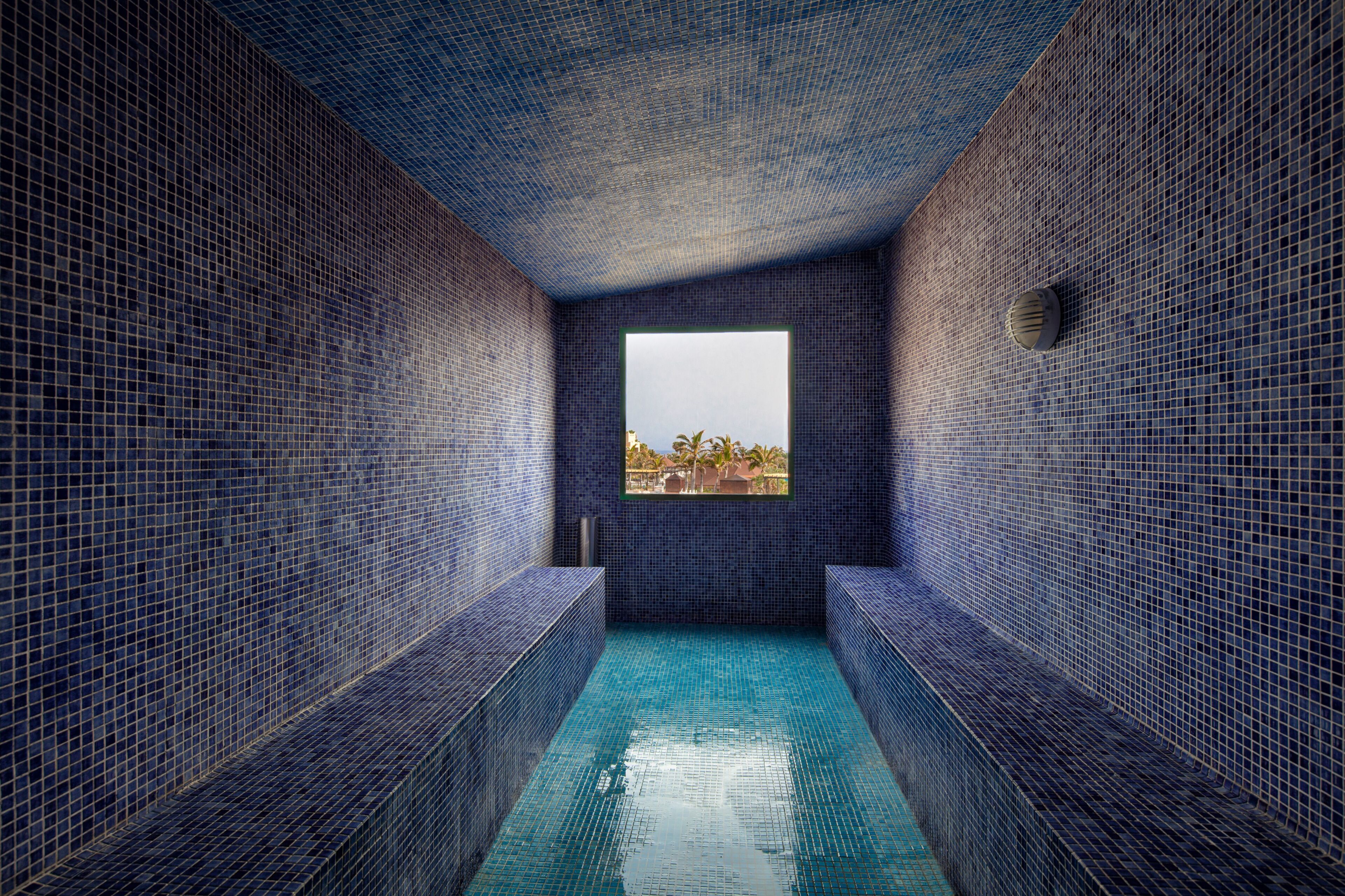 A narrow, tiled pool with a view of palm trees through a window.