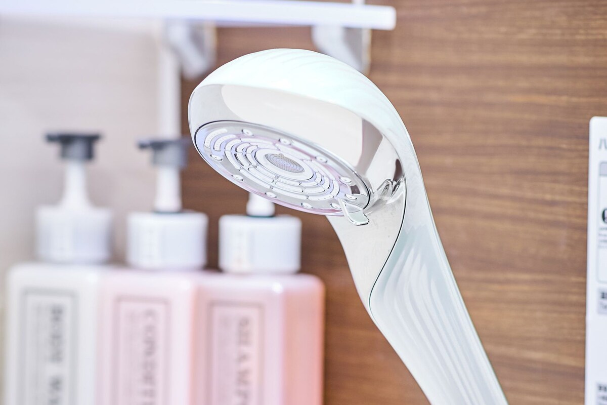 Bathroom amenities | Combined shower/bathtub, hair dryer, slippers, bidet