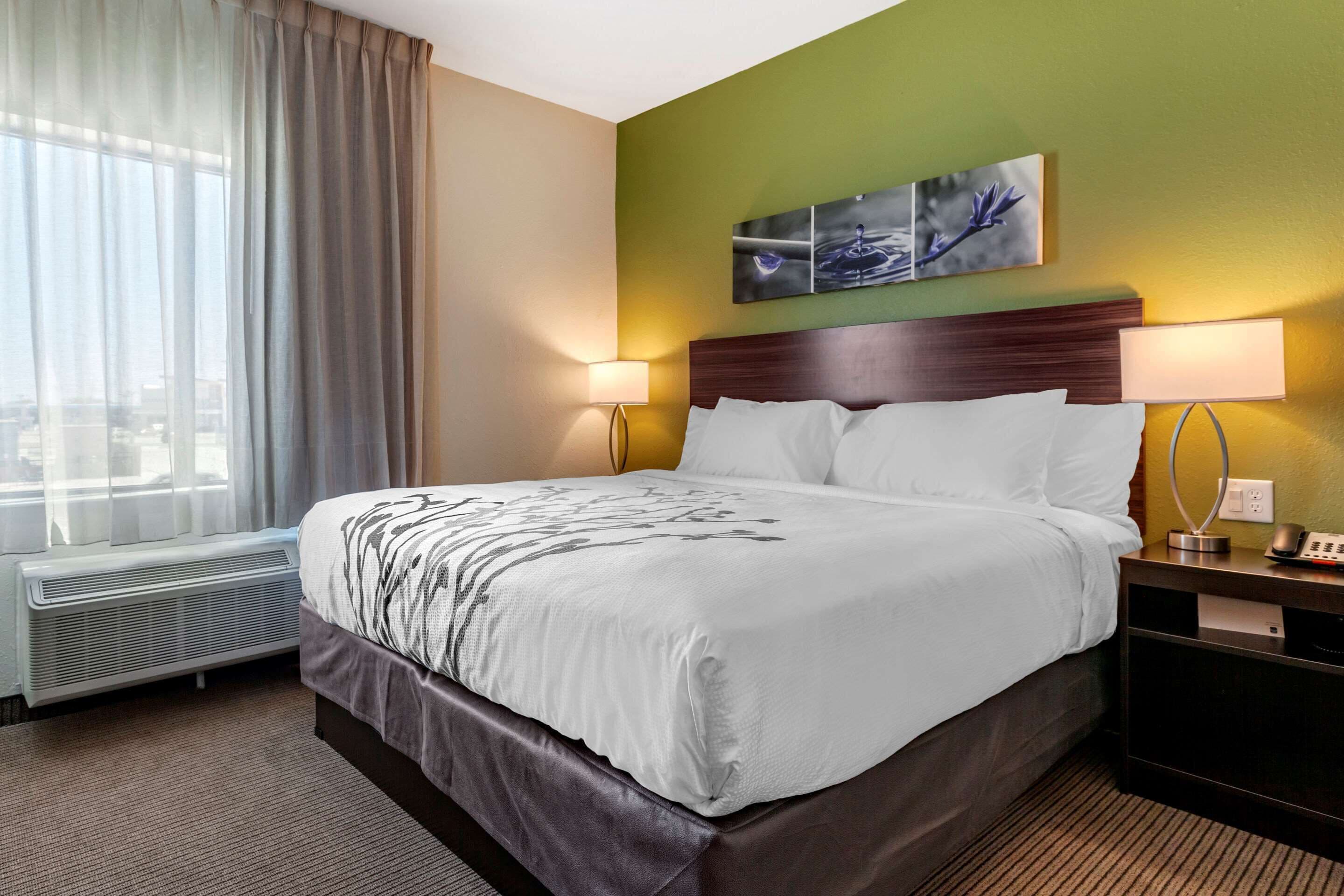 suite, 1 king bed with sofa bed, non smoking (efficiency) | in-room safe, desk, wifi, bed sheets