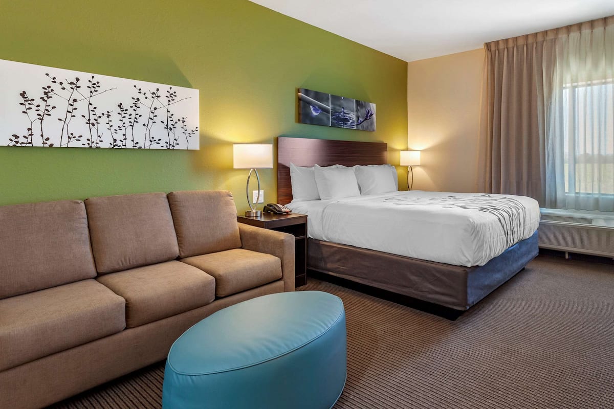 Suite, 1 King Bed with Sofa bed, Non Smoking
