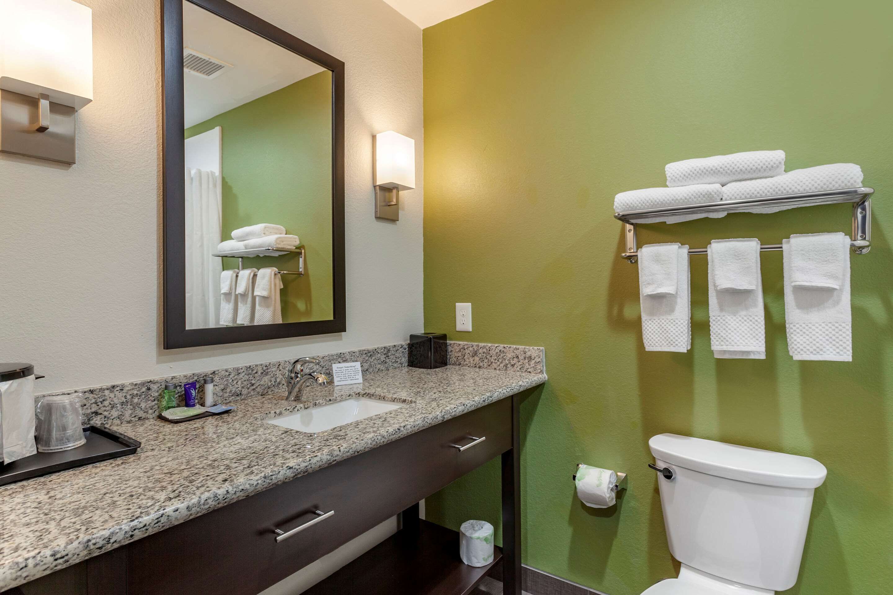 suite, 1 king bed with sofa bed, non smoking (efficiency) | bathroom | bathtub, towels